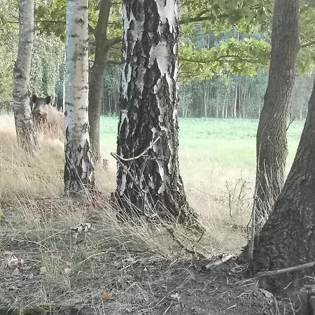 Plener Prázdninový dům
