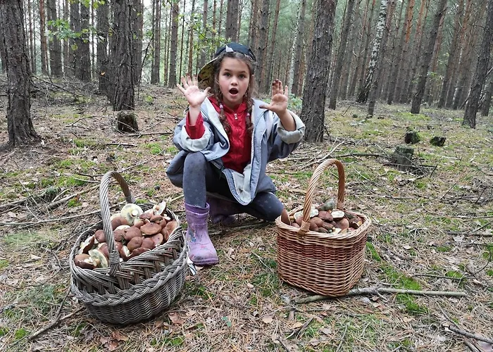 Plener * Miedzichowo